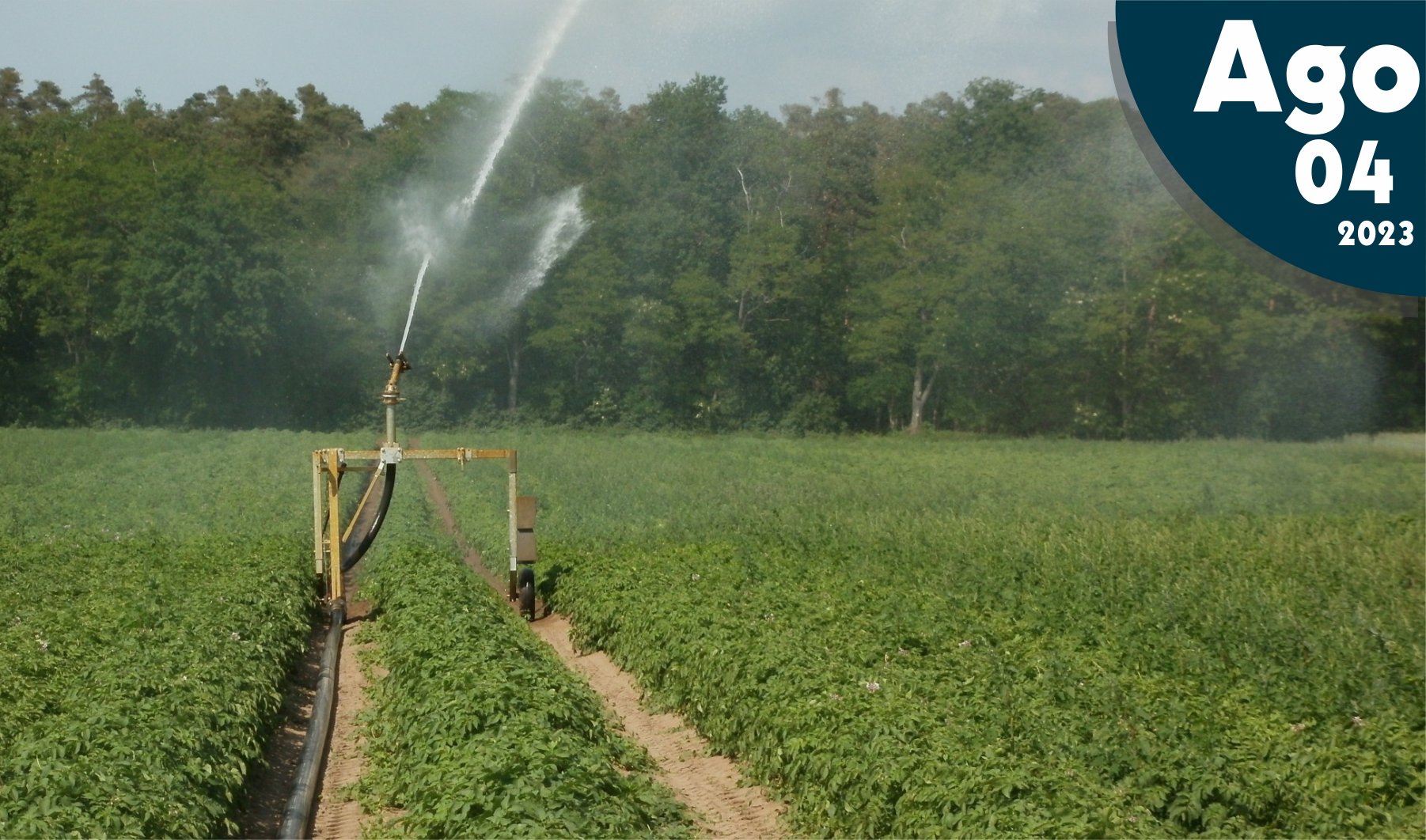 El agua en la agricultura