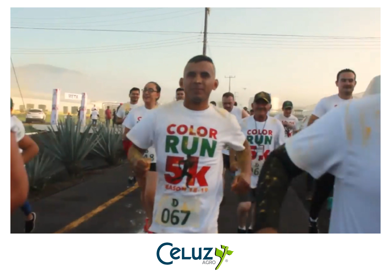 Carrera Color Run 5k