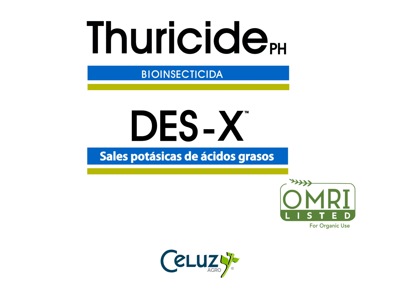 Thuricide y Des-X