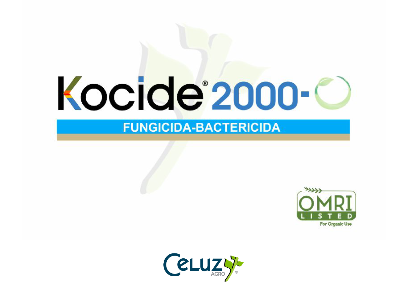 Kocide 2000-O noticia