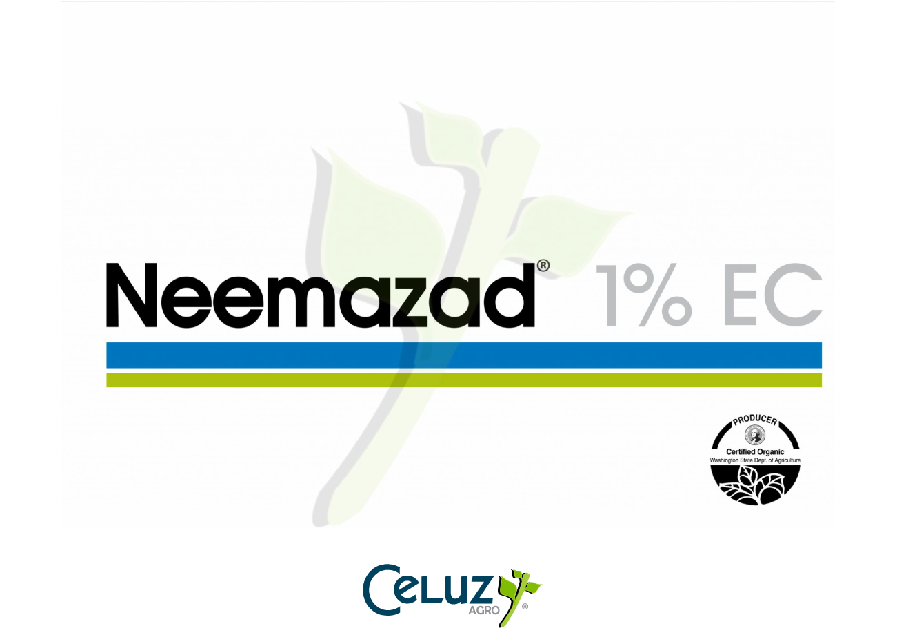 Neemazad