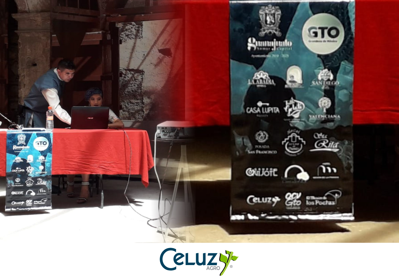 Presentes en el Festival Guanajuato