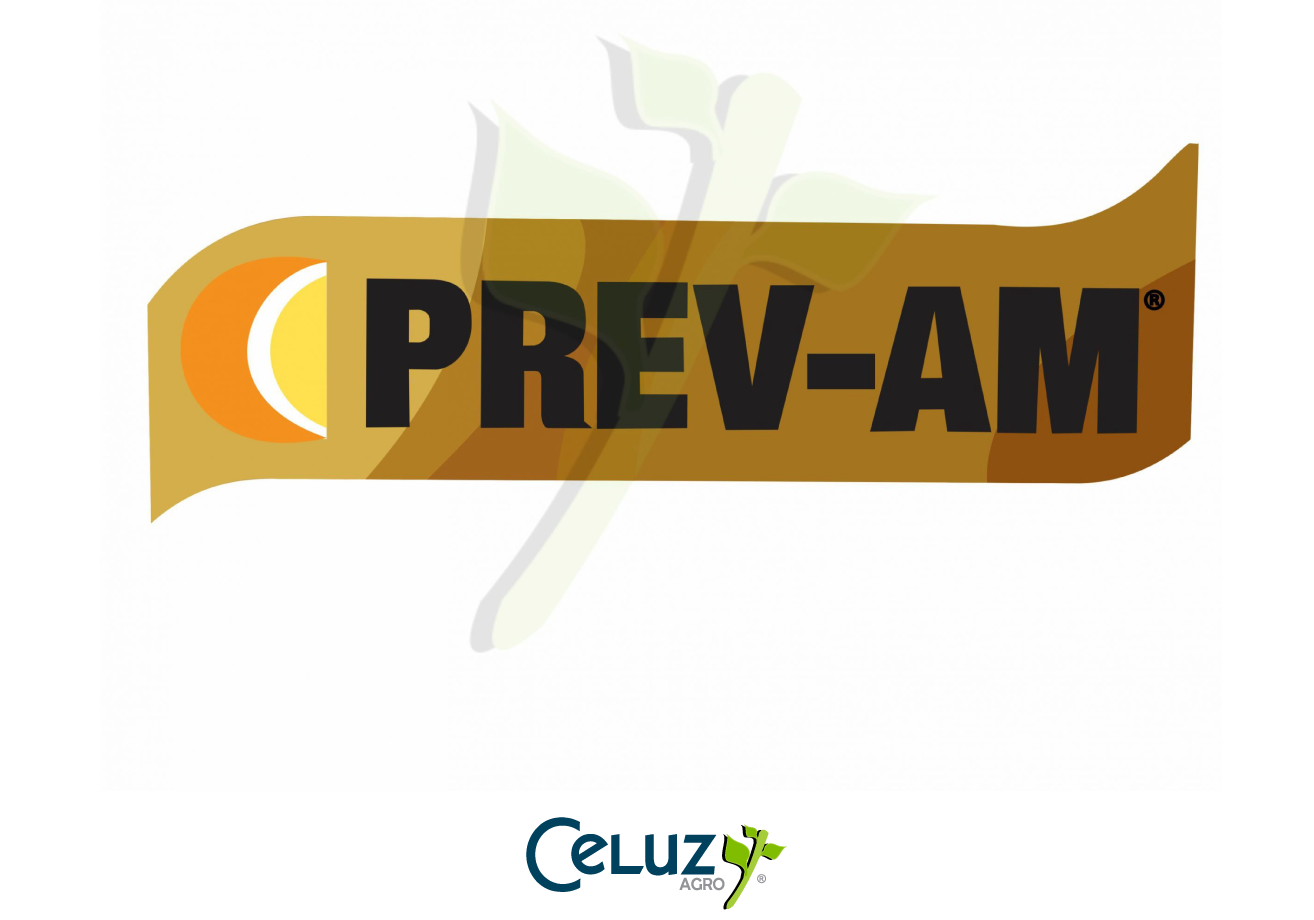 Prev- Am