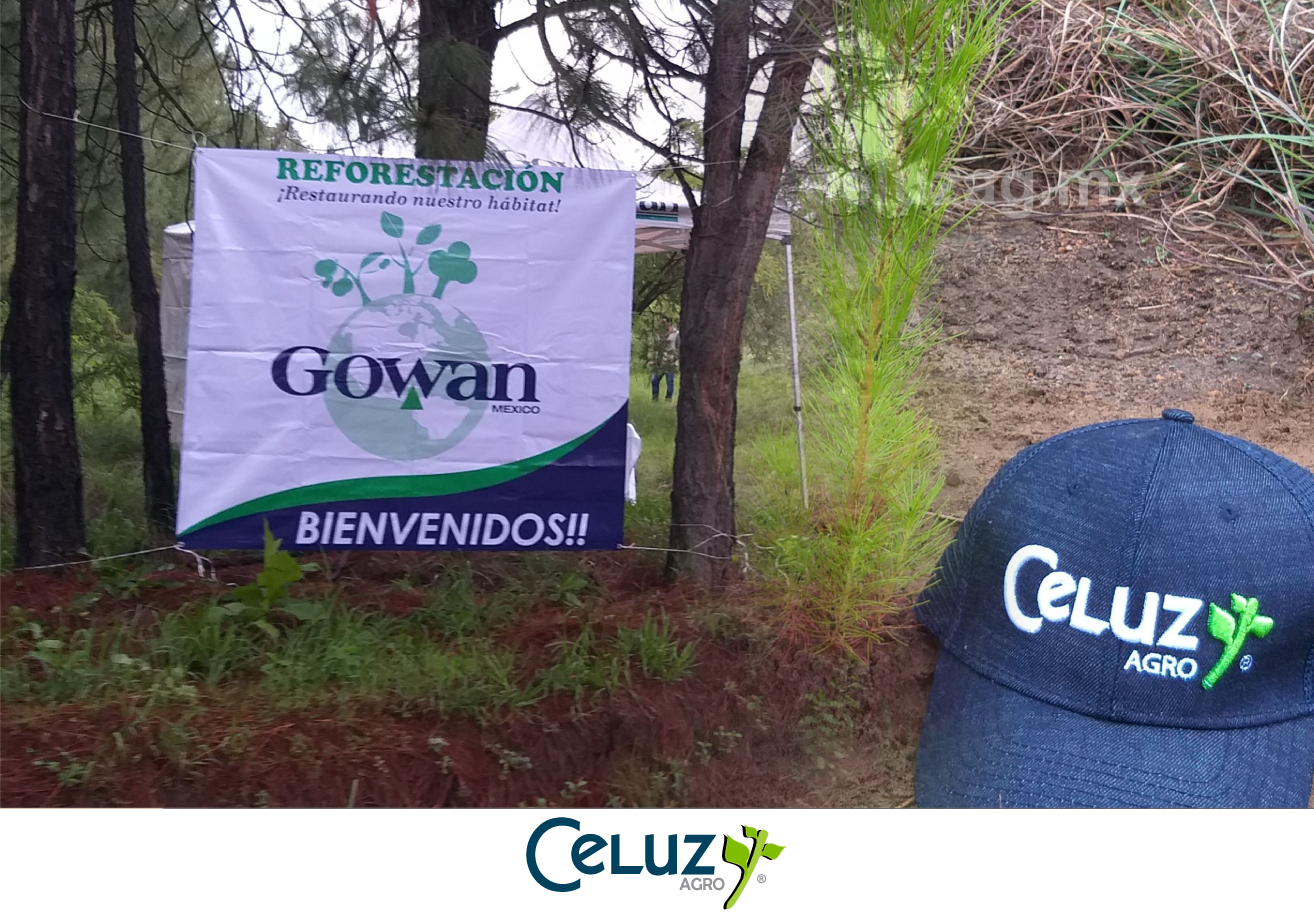 ¡Reforestando Nuestro Habitad!