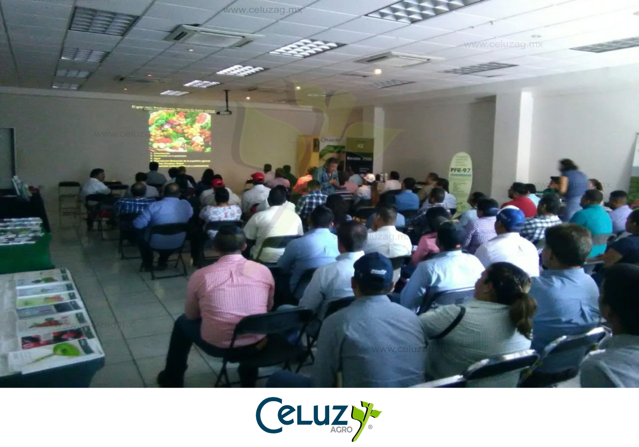 Curso Manejo de Fungicidas