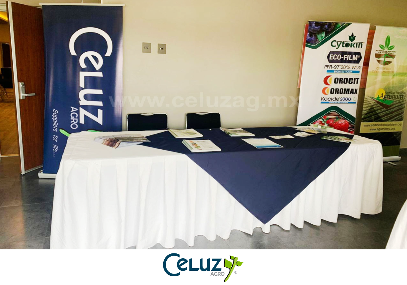 Seminario de acaros