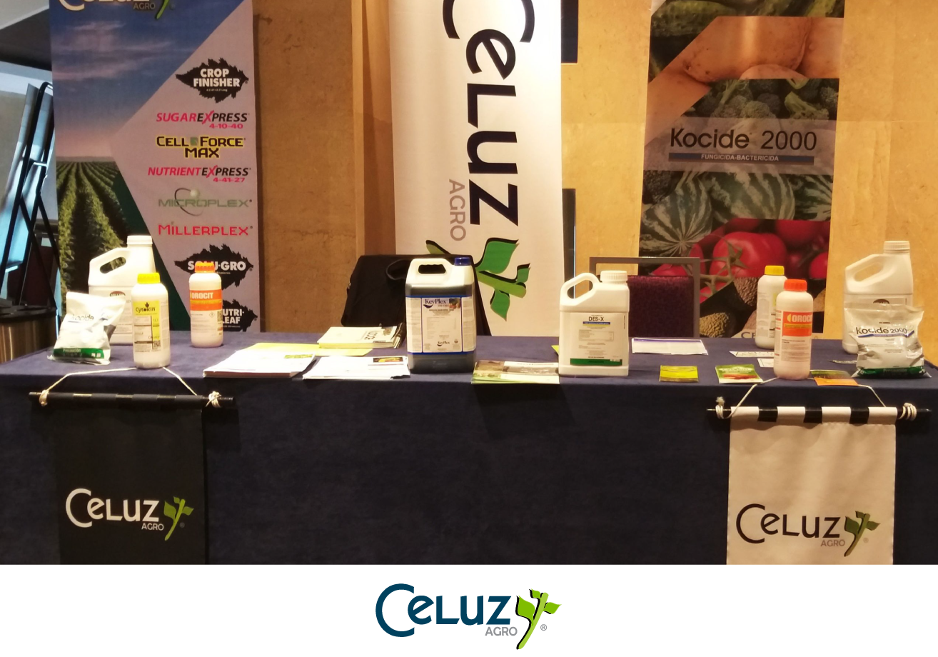 Seminario limon persa
