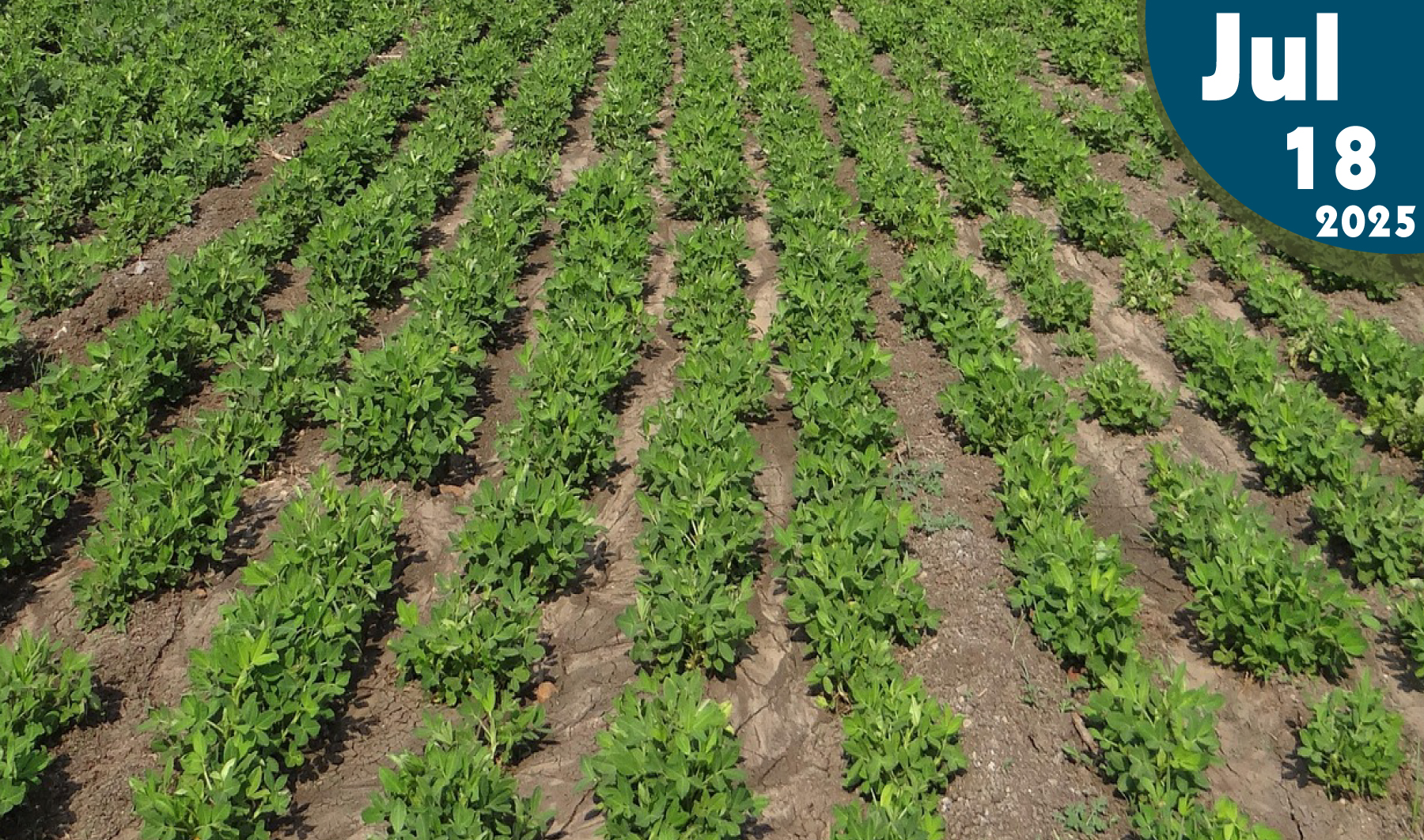 El cobre en la agricultura