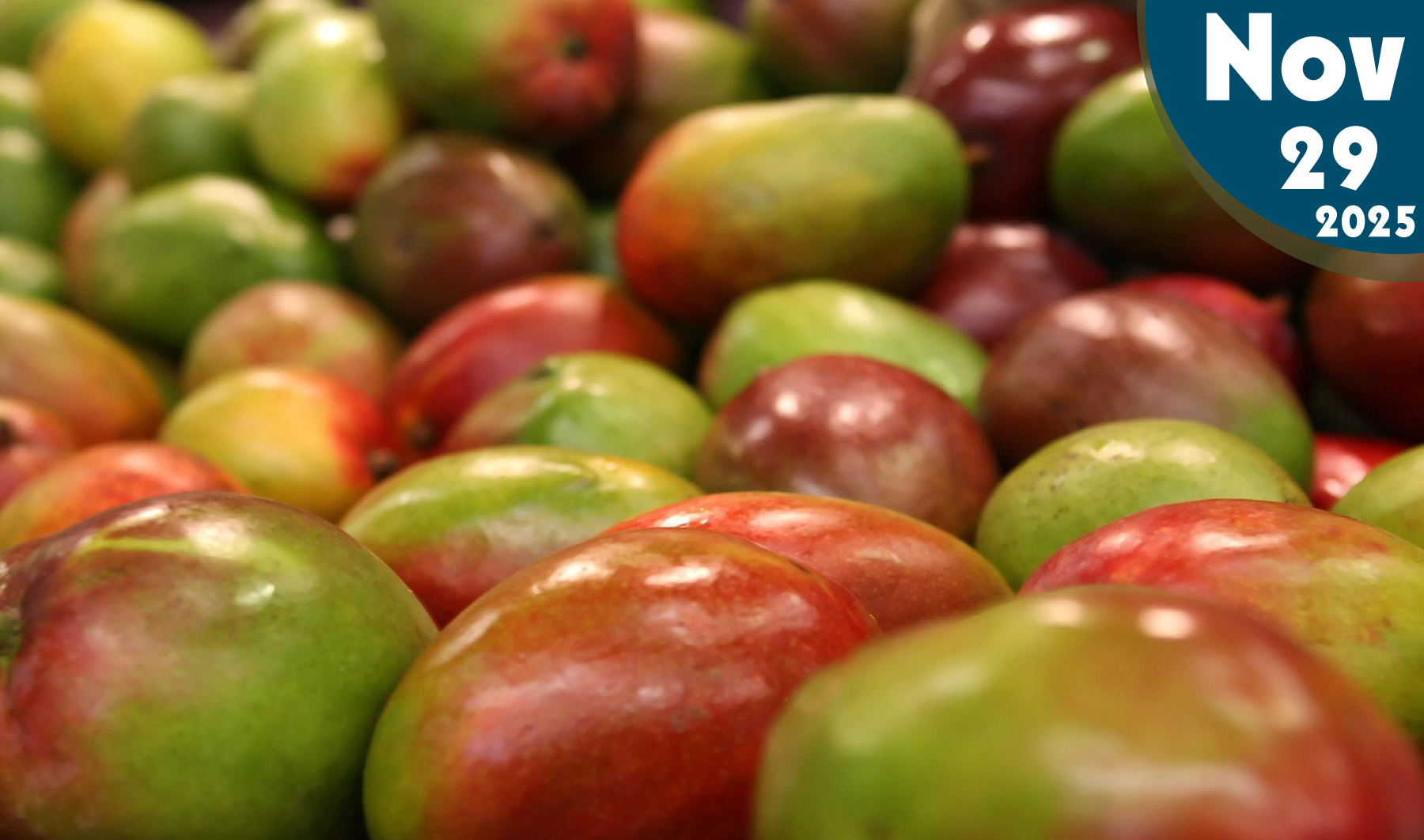 Tratamiento Hidrotérmico